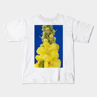 Verbascum × hybridum  &#39;Banana Custard&#39;  Mullein Kids T-Shirt